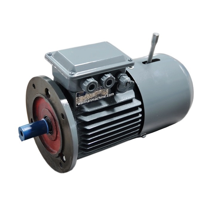 Brake Motors